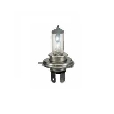 ampoule H4 100w